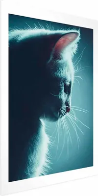 Produktbild von Posterpapier Poster - Night Wanderer 21x30 cm Tiere g-B-0135-ao-a