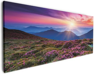 Produktbild von Wallario Premium Leinwandbild Blumenbedeckte Wiese bei Sonnenuntergang in Größe 50 x 125 cm