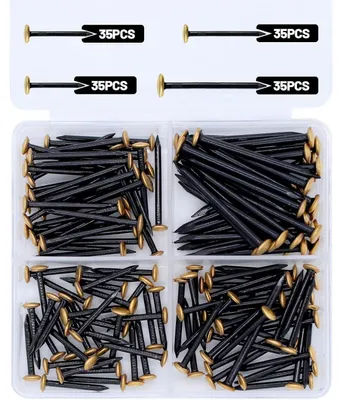 Productafbeelding van Spijkerset, 140 stuks, 20/25/30/40 mm, stalen spijkers met gouden kop, inclusief opbergdoos