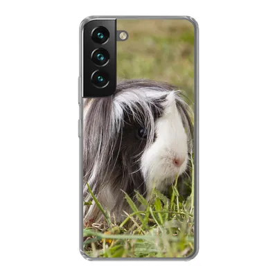 Produktbild von MuchoWow® Handyhülle Schutzhülle Hülle für Samsung Galaxy S22 Plus Langhaar-Meerschweinchen Silikon Softcase Handy Hülle - Schutzabdeckung