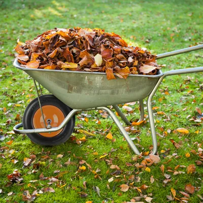 Produktbild von Relaxdays Schubkarrenrad 4.80 4.00-8, Vollgummi, Stahlfelge, Achse, Ersatzrad Schubkarre, pannensicher, schwarz/orange