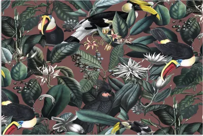 Produktbild von MuchoWow® Poster Blumen - Tukan - Blätter 60x40 cm - Schlafzimmerdekoration