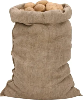 Image de vidaXL Sacs en jute 10 pcs. 60x105 cm 100% jute 340 g/m