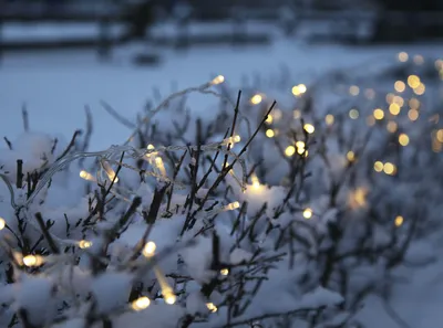 Produktbild von Best Season LED-Lichterkette,160tlg. Farbe warm white, outdoor, m.Trafo, Kabel:transp., 499-36