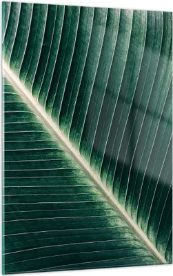 Produktbild von Bilder auf glas - Einteilig - Grün Blatt Tropisch - 50x70cm - Glasbilder - Wandbilder - Bilder - zum Aufhängen bereit - Wanddekoration aus Glas - Glas Bilder - Wandbild auf Glas - GPA50x70-4126