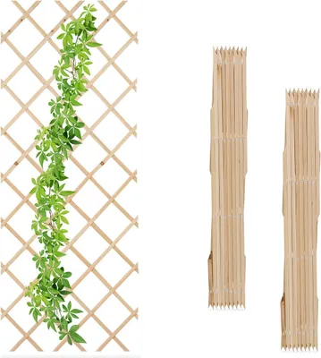 Produktbild von Ausziehbares Pflanzenspalier-Set, 180x90 cm, Wandmontage