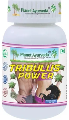 Obrázok produktu pre Tribulus Power Kapsuly - Testosterón, Svaly, Energia - 500mg 60 kapsúl