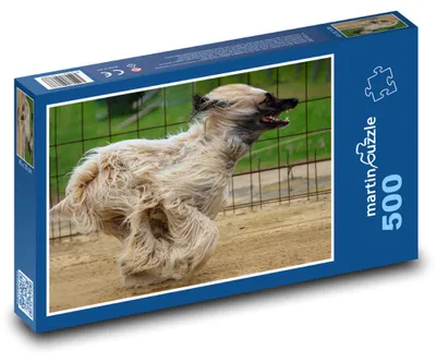 Produktbild von martinpuzzle - Puzzle 500 Teile - Windhundrennen