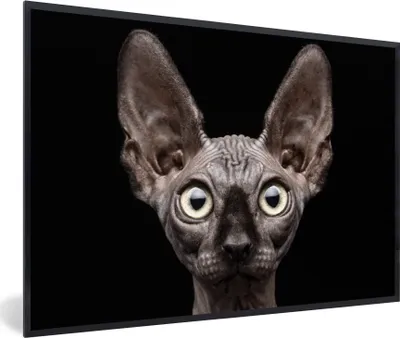 Produktbild von MuchoWow® Gerahmtes Poster Katze - Haustiere - Porträt - Schwarz 30x20 cm - Poster mit Schwarzem Bilderrahmen Wandposter Rahmen Foto Bilder - Kunstdruck - Bild-Poster