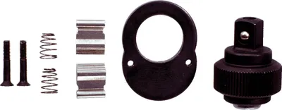 A collection of parts for a ratchet repair kit, laid out on a white background.