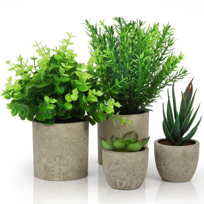 Produktbild von Belle Vous 4er Pack Kunstpflanzen im Topf für den Innenbereich - Schlangenzungengras-, Sukkulenten- & Eukalyptus Künstlich Pflanzen aus Kunststoff -