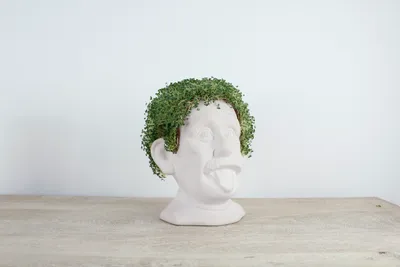 Image de Winkee - Chia Genie I Buste en céramique pour cultiver les graines de chia I Bac de culture en forme de tête amusante I Chia Seeds Starter Kit