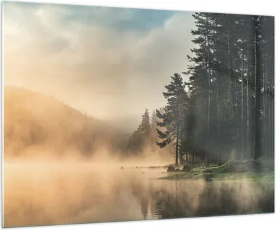 Produktbild von Bilder auf glas - Einteilig - Nebel See Wald - 100x70cm - Glasbilder - Wandbilder - Bilder - zum Aufhängen bereit - Wanddekoration aus Glas - Glas Bilder - Wandbild auf Glas - GAA100x70-4440