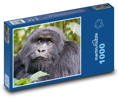 Obrázok produktu pre Puzzle 1000 Gorila v Džungli - martinpuzzle