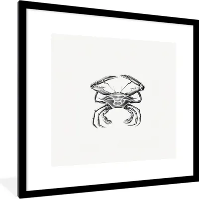 Produktbild von MuchoWow® Gerahmtes Poster Ernst Haeckel - Jahrgang - Kunst - Krabbe 40x40 cm - Poster mit Schwarzem Bilderrahmen Wandposter Rahmen Foto Bilder - Poster - Plakat im Rahmen
