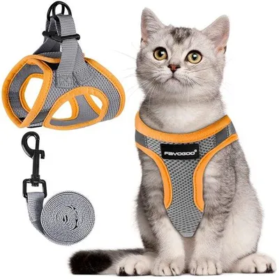 Productafbeelding van Klein kattentuigje, riem voor katten, lekvrij, verstelbaar met reflecterende coating, riem voor puppy's of katten, wandelingen in de open lucht