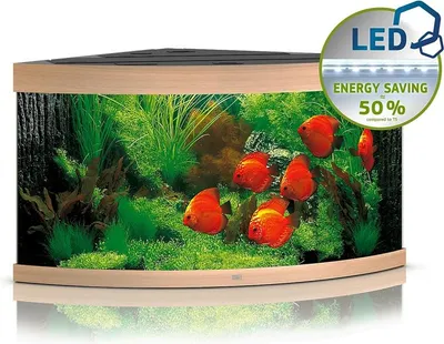 Produktbild von Juwel Trigon 350 LED helles Holz - Aquarium Juwel