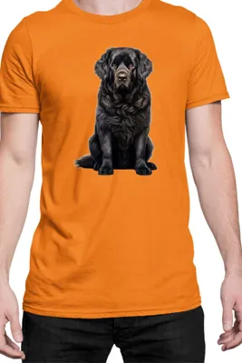 Immagine prodotto di Maglietta da uomo Dogs Breeds Newfoundland Dog Breed 006, Man S , Orange