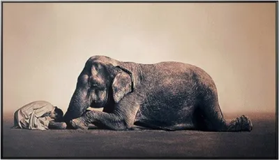 Produktbild von TPFLiving Kunstdruck LW-914 (OHNE RAHMEN) Poster - Leinwand - Wandbild - Hochauflösender Giclée-Druck, langlebig und hochwertig - Kniender Elefant und betendes Kind in braunen Farbtönen - Größe: 90x180cm