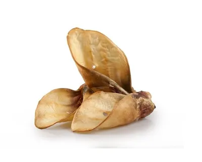 Obrázek produktu pro Hovězí ucho