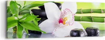 Produktbild von Bild auf Leinwand - Leinwandbild - blume orchidee - 90x30cm - Wand Bild - Wanddeko - Wandbilder - Leinwanddruck - Bilder - Kunstdruck - Wanddekoration - Leinwand bilder - Wandkunst - AB90x30-3659
