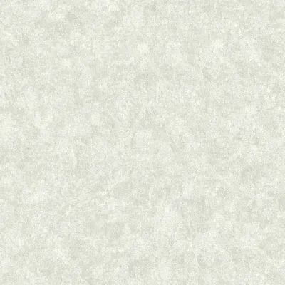 Produktbild von A.S. Création Unitapete Neue Bude 2.0 Edition 2 einfarbige Tapete unifarben Ben Vliestapete grau 10,05 m x 0,53 m