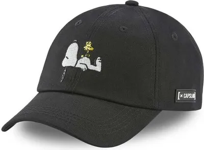 Obrázek produktu pro Kšiltovka Peanuts Uni Capslab - Snoopy a Woodstock vícebarevná Standardní