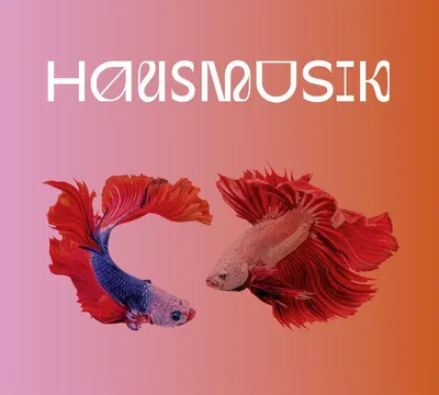Produktbild von Hausmusik