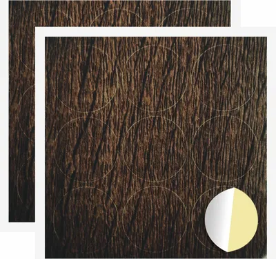 Image de Couverture de vis auto-adhésive 2 pcs Chêne brun Ø 20 x 0,5 mm