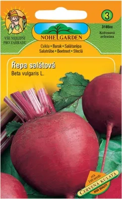 Image de Salade de betteraves ronde ROND ROUGE