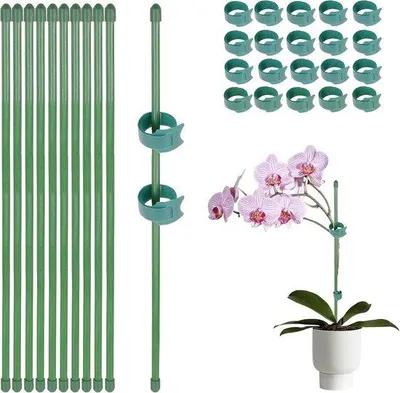 Produktbild von Famanu Pflanzenstütze mit Stangen und Orchideenhaltern - 30 cm