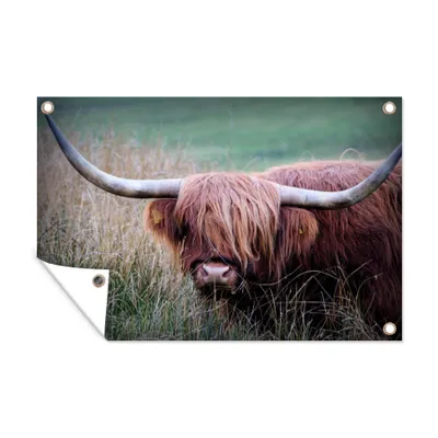 Obrázek produktu pro MuchoWow® Zahradní plakáty - Skotský horal - Portrét - Hlava krávy - 120x180 cm - Zahradní dekorace