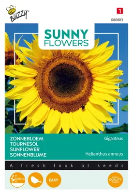 Produktbild von Buzzy Sunny Flowers Riesen Sonnenblume Giganteus Samen - Ca. 5 gr | Buzzy_080803