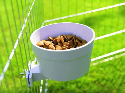 Produktbild von Hundenäpfe für Wasser und Futter Nobby Pet Crock