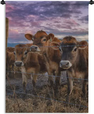Produktbild von MuchoWow® Wandteppich Wandbehang Kuh - Tiere - Kühe 60x80 cm Tapisserie Dekoration Wandtuch - Decke - Wandtücher - Wohne