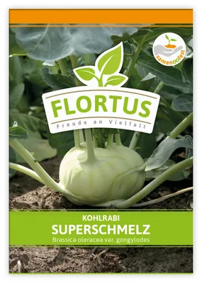 Produktbild von Kohlrabi Superschmelz | Kohlrabisamen von FLORTUS