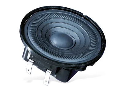Image de Visaton K 50 WP haut-parleur, 2 W, noir