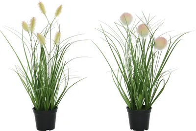Produktbild von Dekopflanze Gras im Topf DEKO