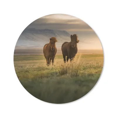 Produktbild von MuchoWow® Mauspad Mousepad Pferde - Luft - Gras 20x20 cm - Mousepads - Maus Mat - Pad - Mausunterlage - Schreibtischmatte