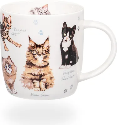 Produktbild von tea4chill Könitz Kaffeetasse Natures Diversity-Katzen. Teetasse 350ml, Porzellan. Design modern, bunt