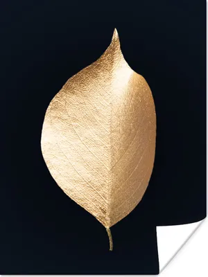 Produktbild von MuchoWow® Poster Blätter - Gold - Schwarz - Pflanzen - Luxus 90x120 cm - Wohnzimmer