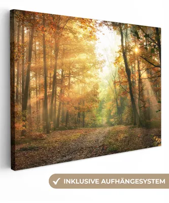Produktbild von MuchoWow® - Leinwandbilder - Wald - Herbst - Sonne - Landschaft - Natur - Bäume - Laub, Wandbild, Wanddeko Bilder Wohnzimmer, 120x90cm