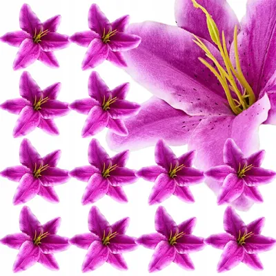 Produktbild von Topoblu 12 Künstliche Lilienköpfe für Deko 14cm
