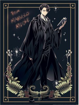 Harry Potter - s potlačou PM10781 (40 cm x 30 cm) (čierna/zlatá)