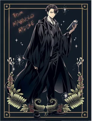 Obrázok produktu pre Harry Potter - s potlačou PM10781 (40 cm x 30 cm) (čierna/zlatá)
