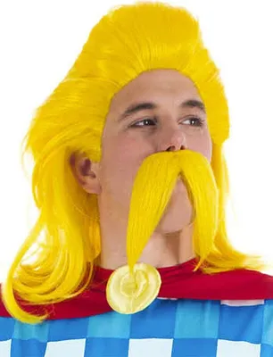 Immagine prodotto di Parrucca e barba di Troubadix - set di costumi per carnevale