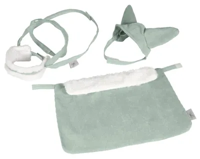 Image de Ensemble avec couverture, licol et bonnet vert amande pour hobby horse