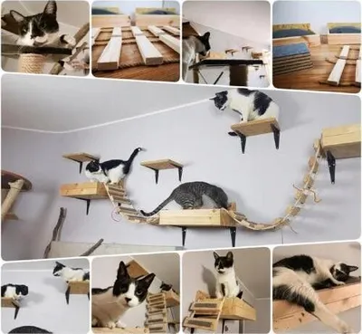Produktbild von qls Kletterwand XXL f\u00fcr Katzen, Katzenliege, Katzenregal, Holz (OSB, Sperrholz), Stoff, Filz, Unlackiert, Kasten 40x28cm, Regale 24x15cm, Br\u00fccke 80cm, Sprossen 19x5cm, 3 Boxen, 6 Regale, 2 Br\u00fccken, 7 Sprossen, inkl. Kopfkissen, einfache Montage ohne Halterungen, 8661