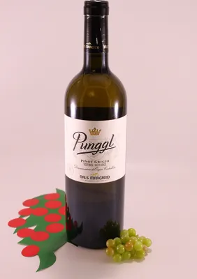 Produktbild von Pinot Grigio Punggl - 2023 - Kellerei Nals-Margreid