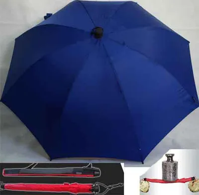 Produktbild von Euroschirm Birdiepal Outdoor königsblau
